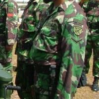 Menipu, TNI gadungan...