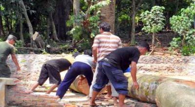PSI PT Andalan Pulp...