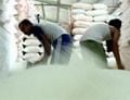 Lindungi petani, harga...
