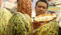 Produksi kakao & kopi...