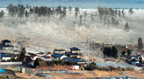 Antisipasi tsunami,...