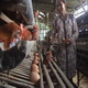 Paskah, pedagang telur...