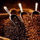 Beragam kopi khas Indonesia...