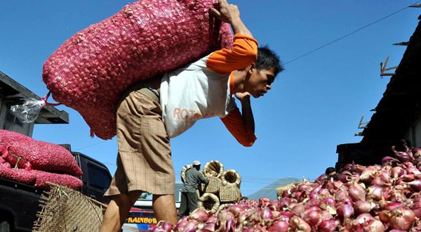 Bawang merah impor merajalela