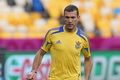 Shevchenko puji Ibrahimovic