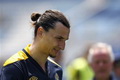 Tato Ibrahimovic jadi...