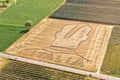 Crop circle Balotelli...
