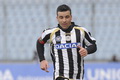 Di Natale bertahan hingga...
