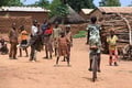 Afrika Barat desak Mali...