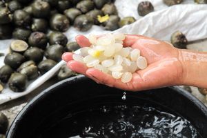 Harga naik, kolang-kaling...