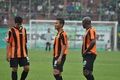 Persibo kehilangan bintang