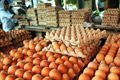 Demi telur, warga saling...