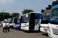 Pemudik di Terminal...