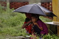 Banjir tewaskan 20 orang...