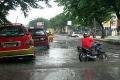 Jalan Bandarharjo Selatan...