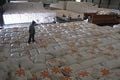 Produksi beras Sumut...