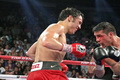 Sergio Martinez hentikan...