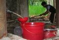 Budidaya Nilam, Bantaeng...