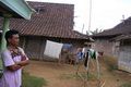 Berkah kemarau bagi...