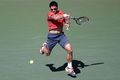 Tipsarevic tantang Raonic...