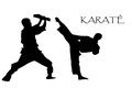 Ribuan karateka latihan...