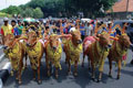 Sapi & kambing kontes...