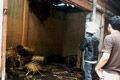 Bakar sampah, tujuh...