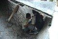 Bolos, puluhan pelajar...