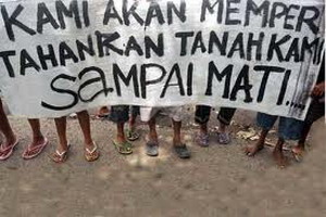 Lembaga adat tuntut...
