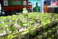 8.000 tabung gas elpiji...