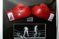 Pelelangan sarung tinju...
