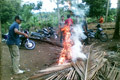 Arena sabung ayam dibakar...