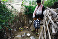Musim hujan unggas rawan...