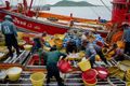 1 juta pekerja migran...