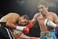 Guerrero lakoni rematch...