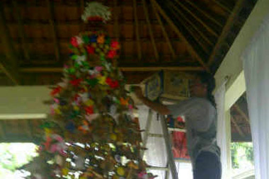 Pohon Natal unik dari...
