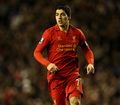 Suarez terasa mimpi...