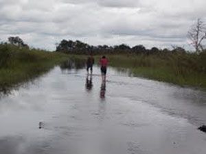 Jalan khusus batubara...