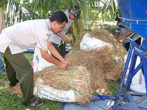 Kompos jerami padi tingkatkan...