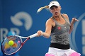 Laga perdana, Wozniacki...
