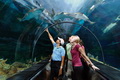 SeaWorld berambisi raup...