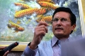 Fadel: Informasi Yusril...