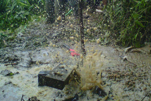 Ratusan semburan gas...