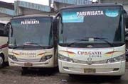 Cipaganti gunakan hasil...