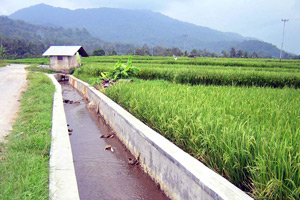 Bendungan jebol, 6.500...