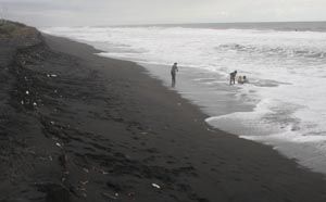 Pantai Selatan Kulonprogo...