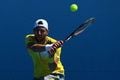 Demi Austria, Melzer...