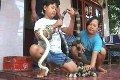 Intan, bocah pawang...