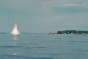 Gawat, bom ikan di Mentawai...