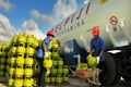 280 tabung LPG 3 Kg...